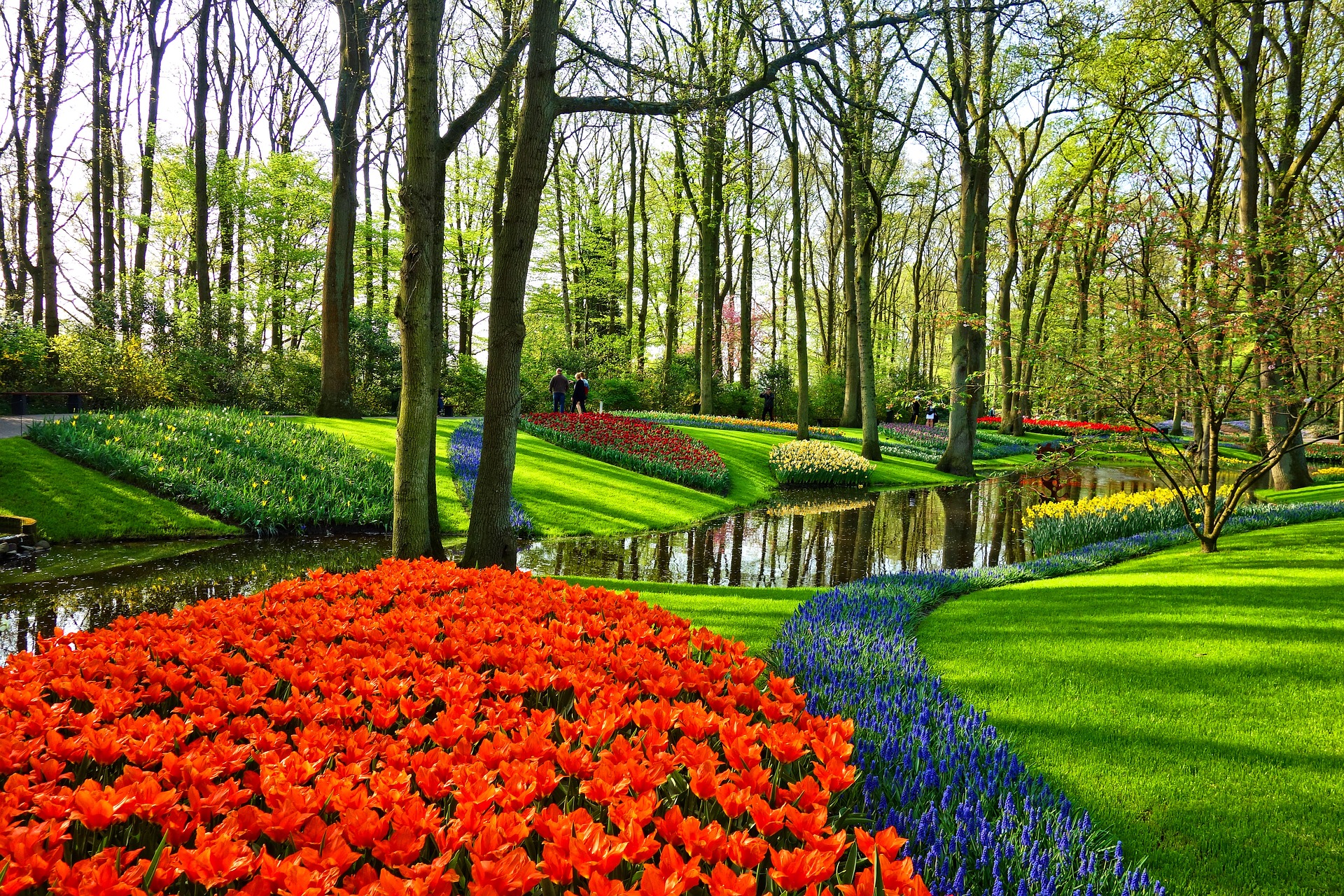 Jardins de Keukenhof - Pays-Bas 
