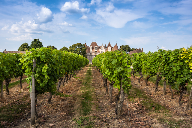 Road trip à Bergerac, France