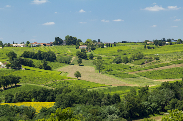 Road trip à Bordeaux, France