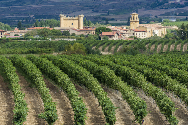 Road Trip à Haro, Espagne