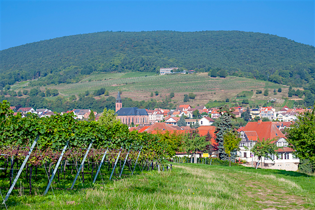Road trip la route des vins allemande, jour 2