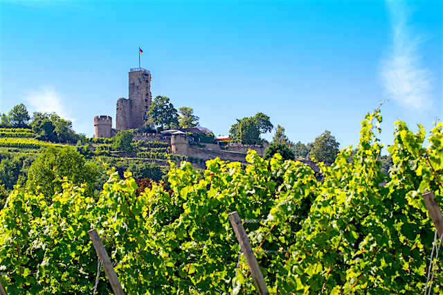 Road trip la route des vins allemande, jour 1