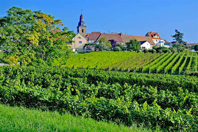 Road trip la route des vins allemande, jour 2