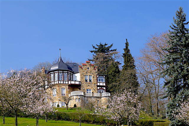 Road trip la route des vins allemande, jour 2